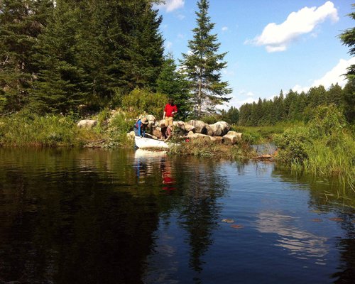 Algonquin 01.jpeg