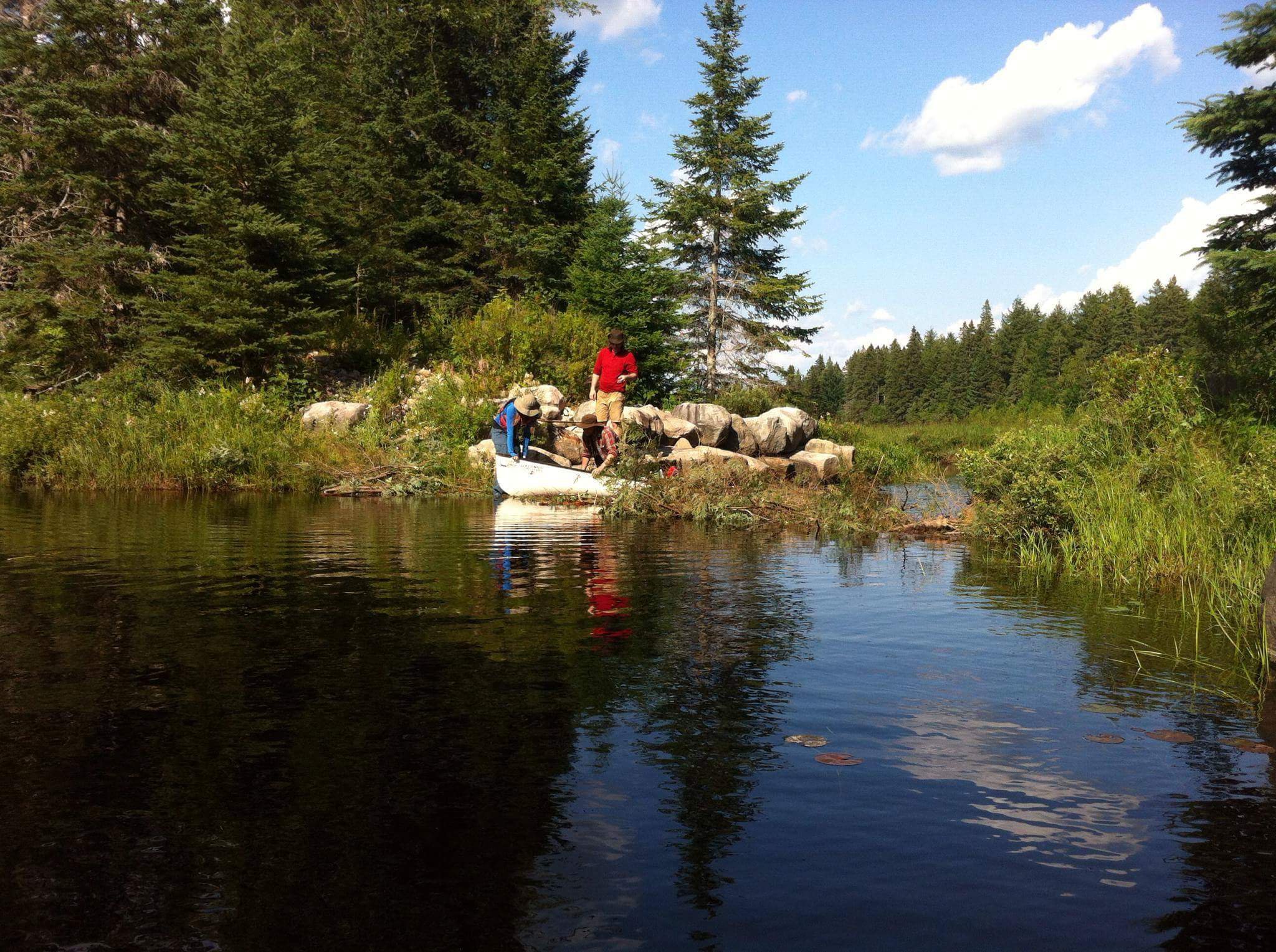 Algonquin 01.jpeg