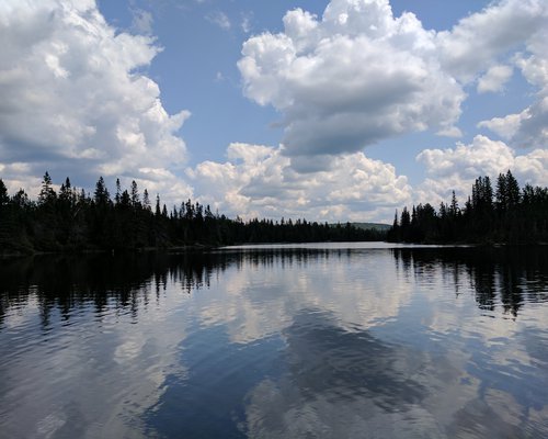 Algonquin 05.jpg