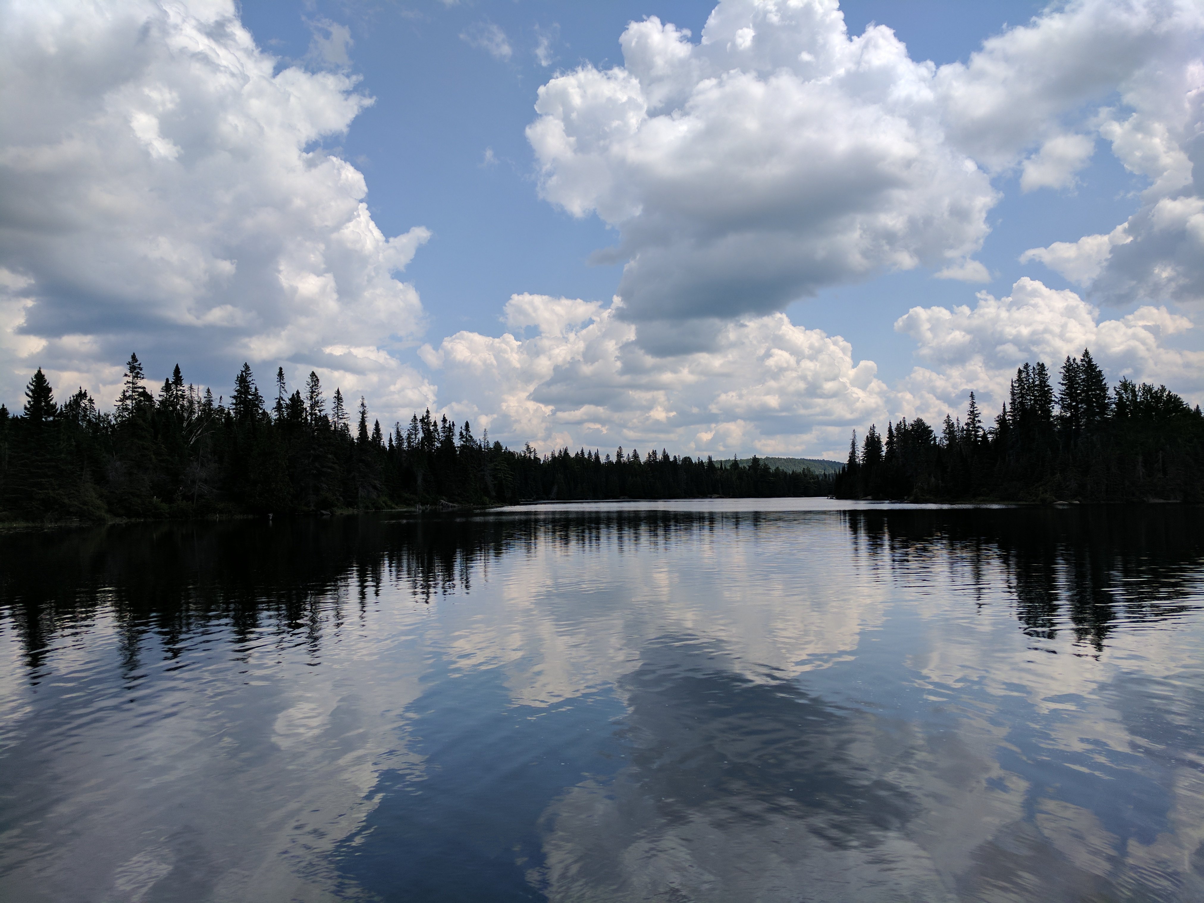 Algonquin 05.jpg