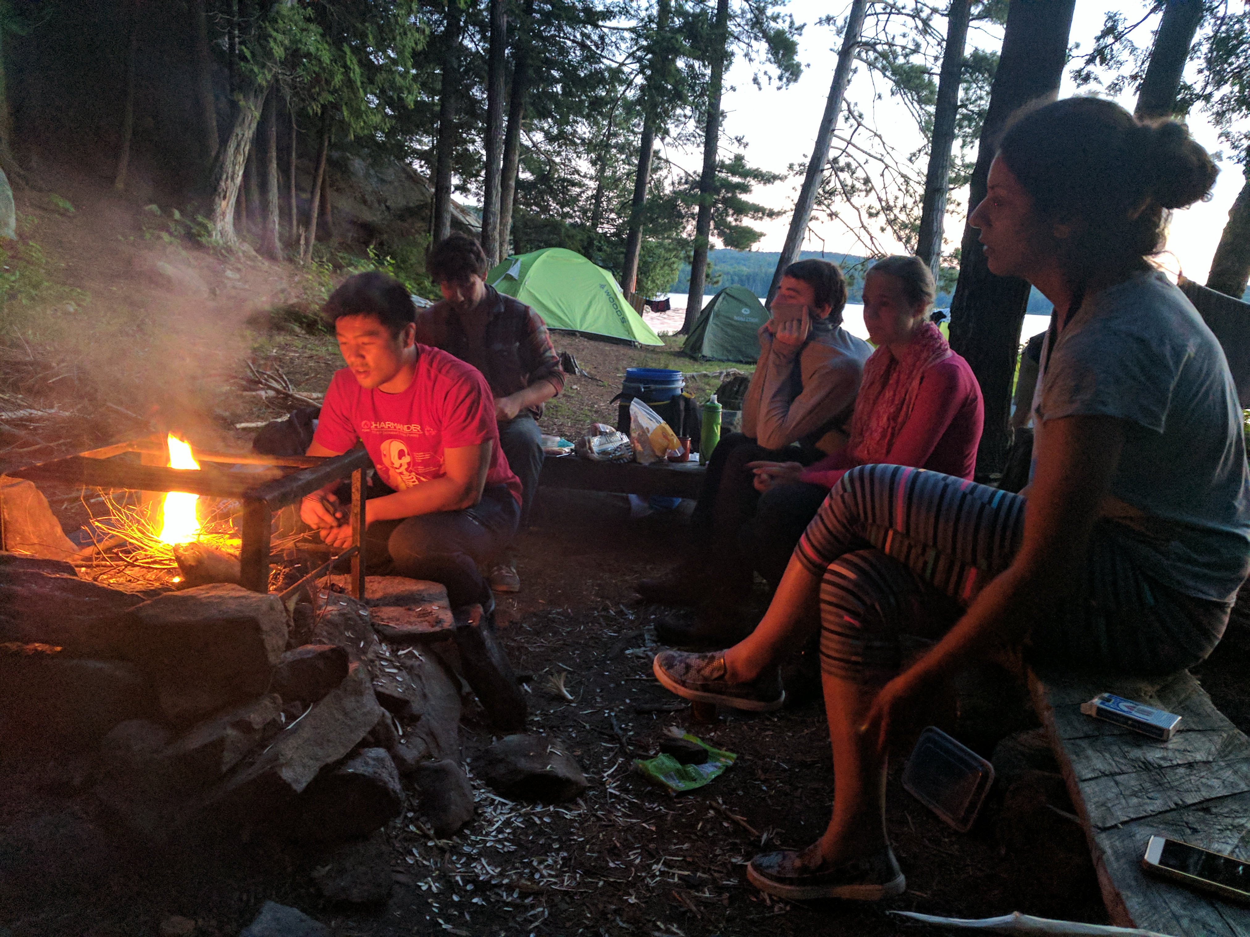 Algonquin 06.jpg