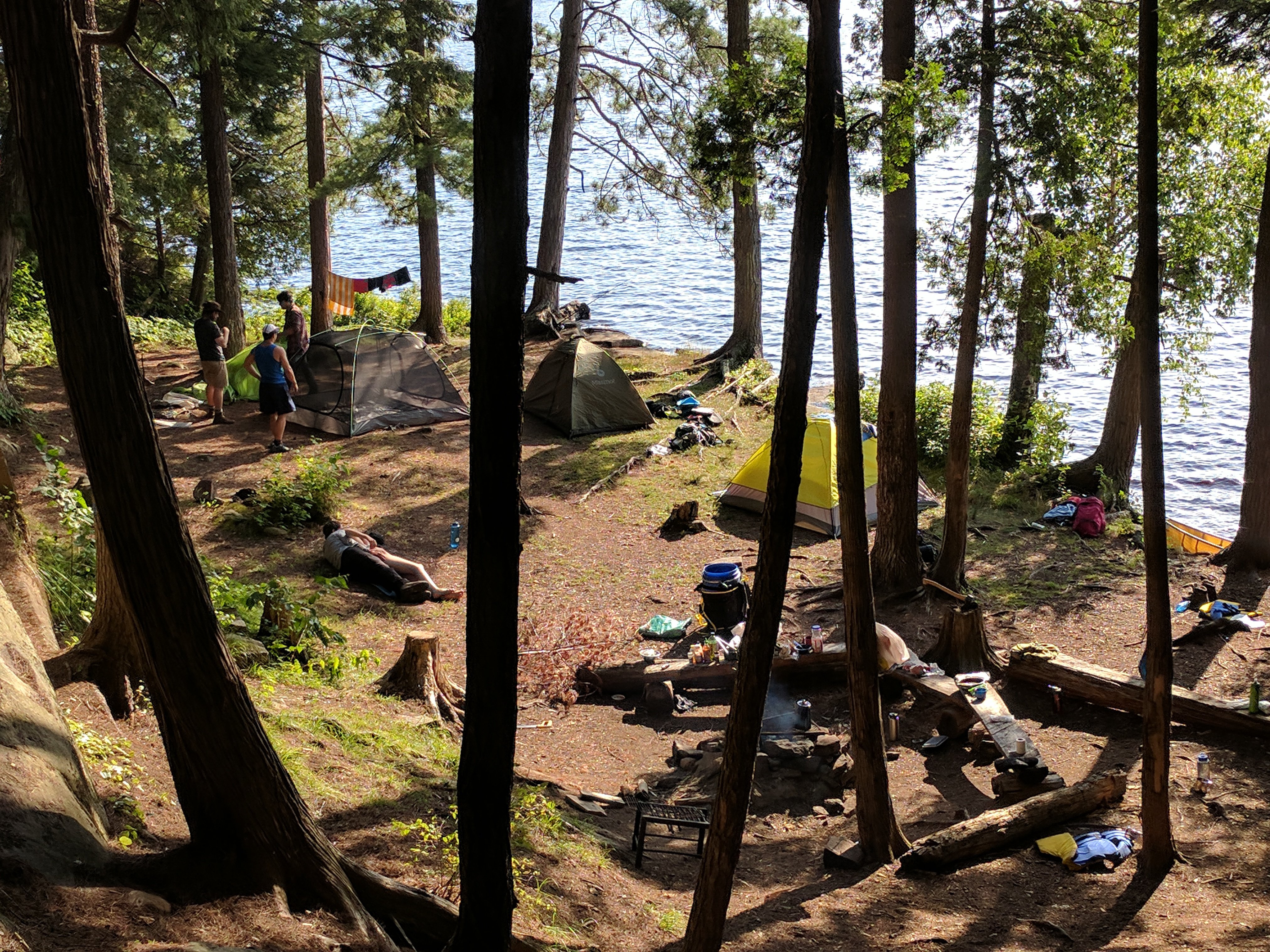 Algonquin 07.jpg