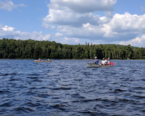 Algonquin 10.jpg