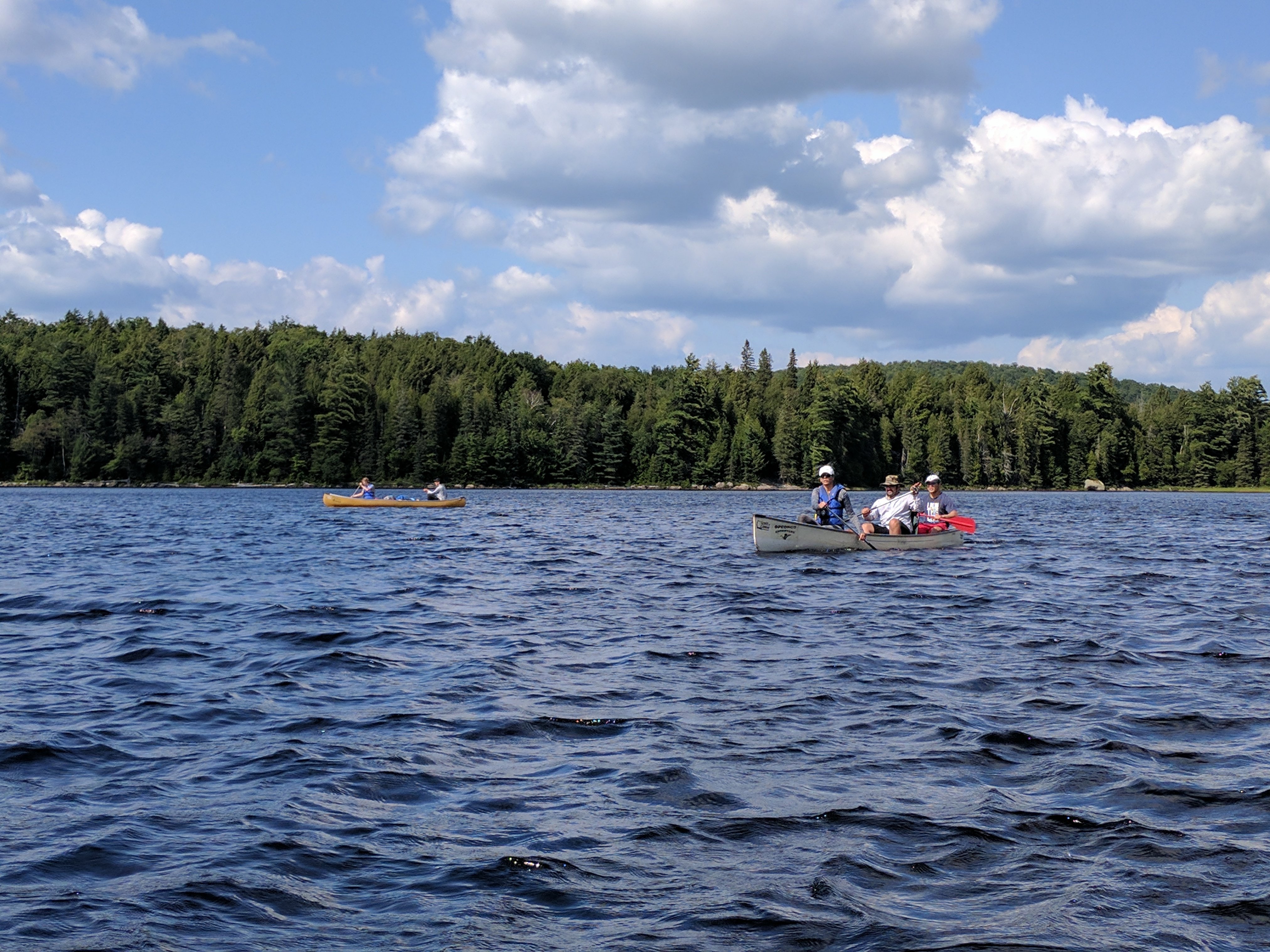 Algonquin 10.jpg