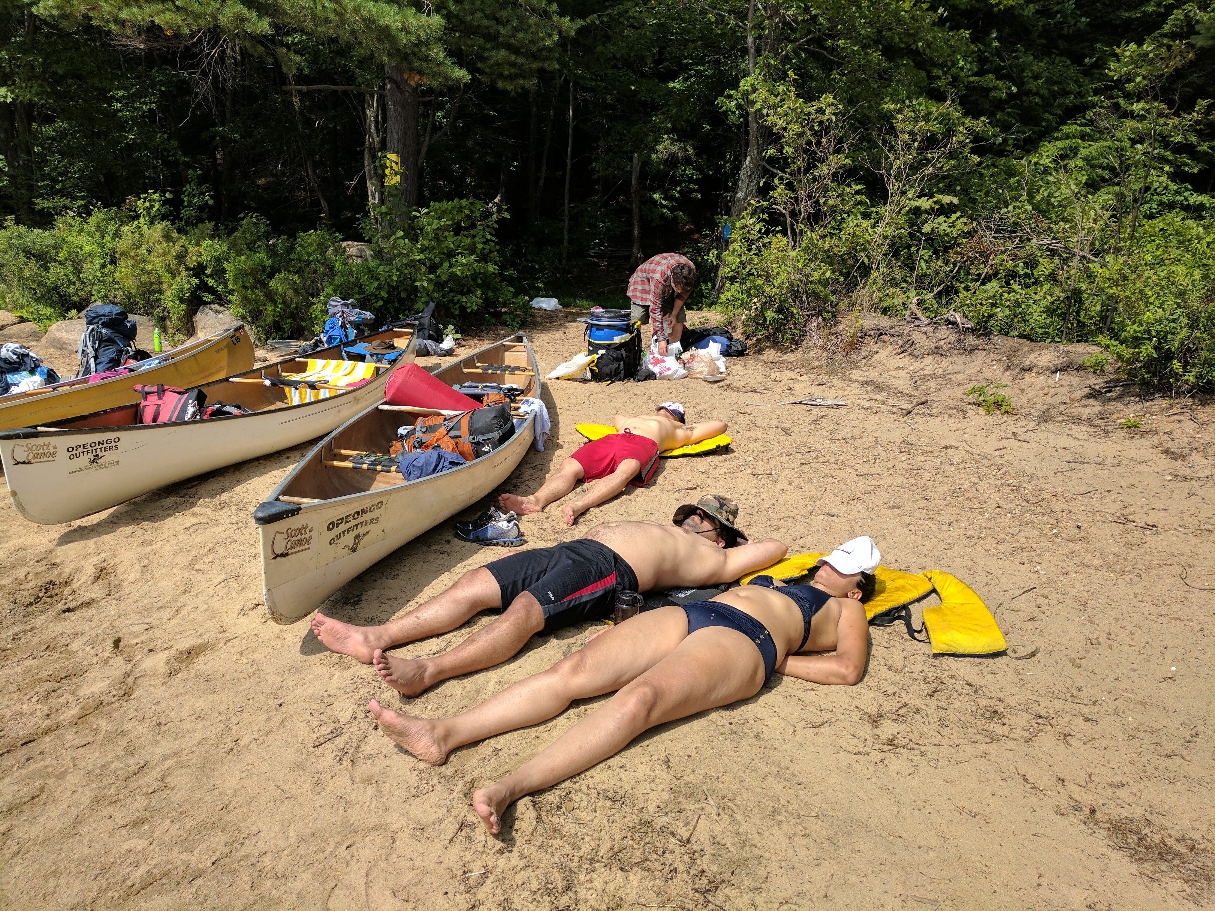 Algonquin 11.jpg