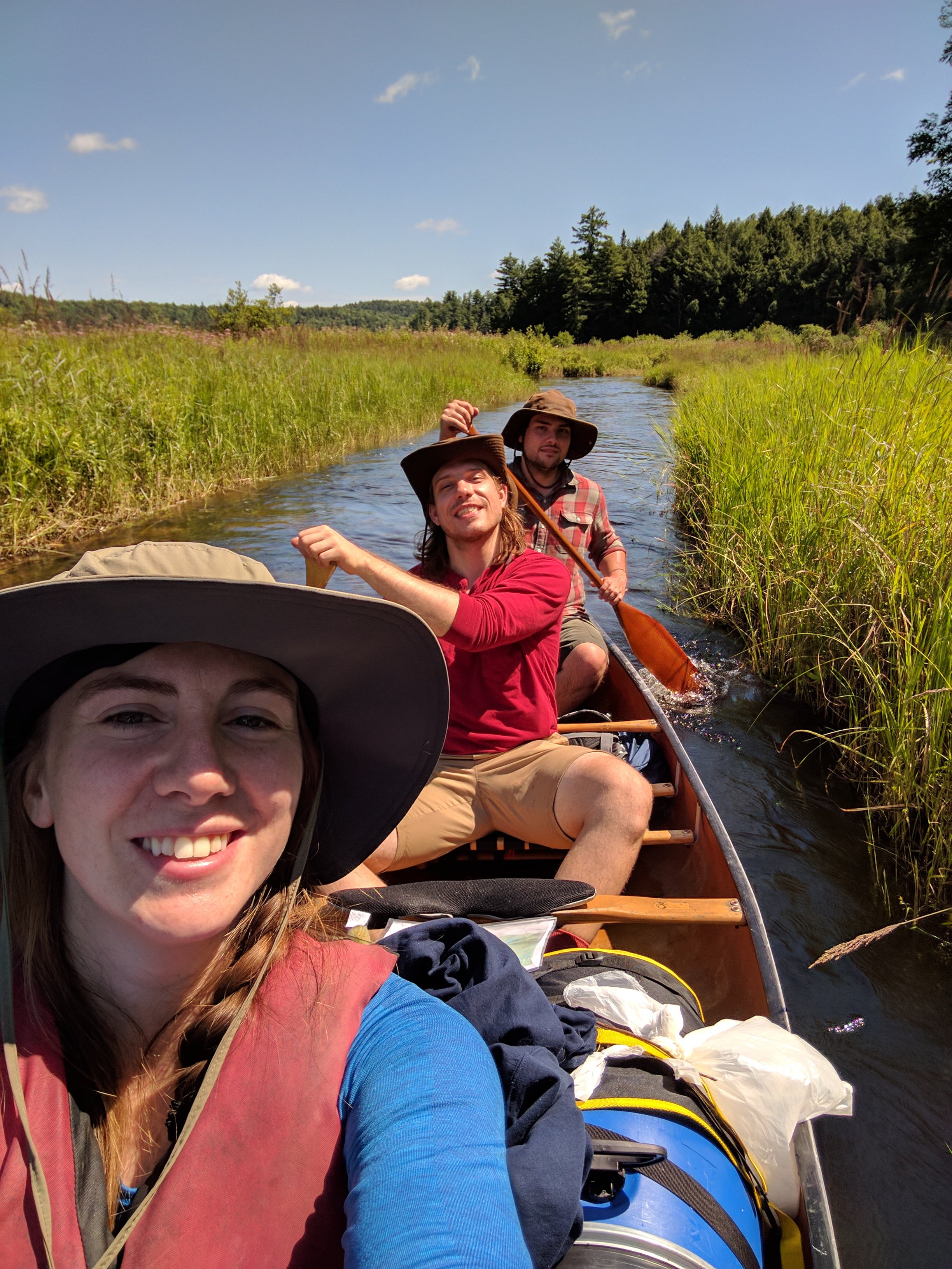 Algonquin 13.jpg