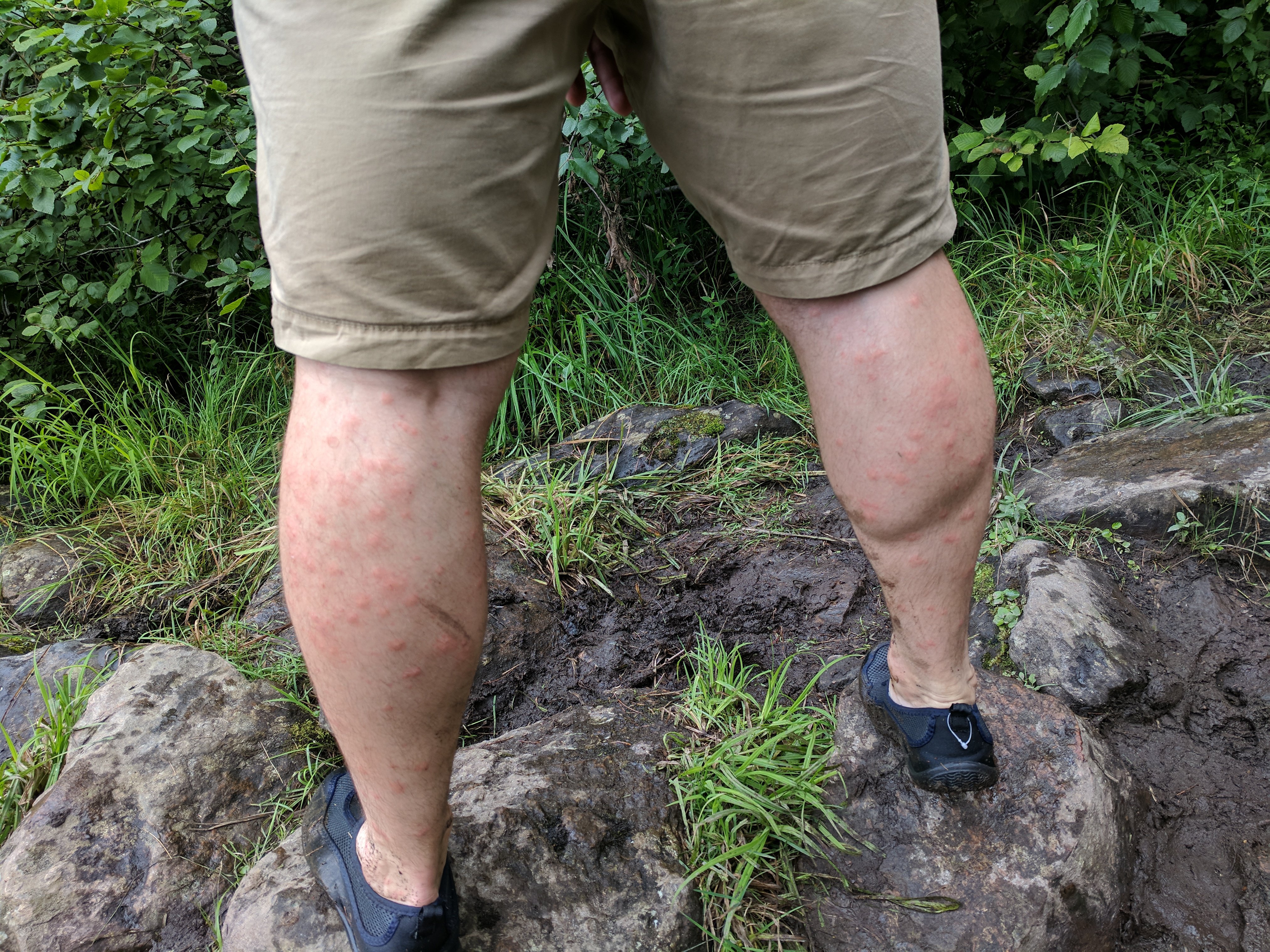 Algonquin 14 - flybites.jpg