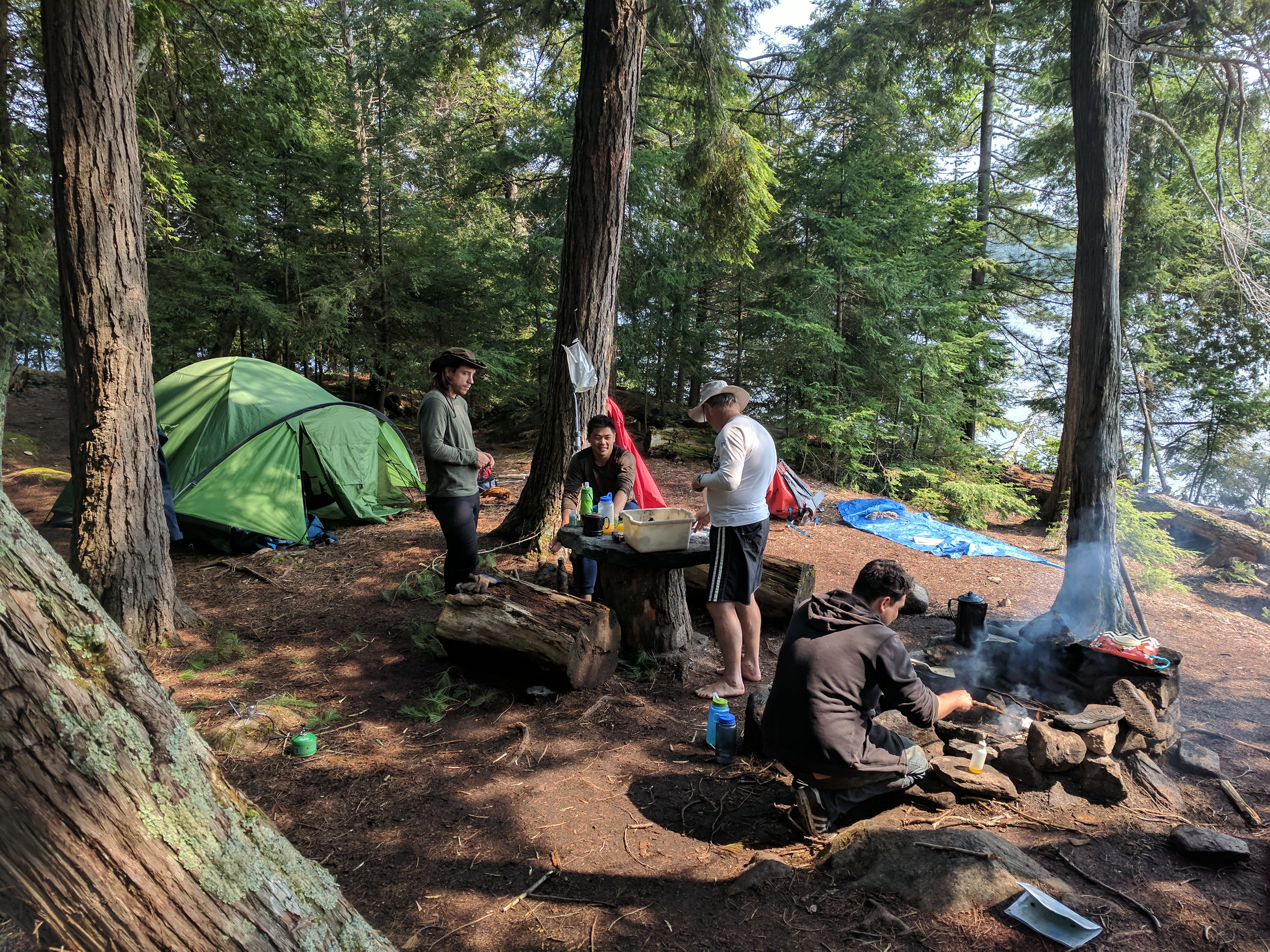 Algonquin 19.jpg