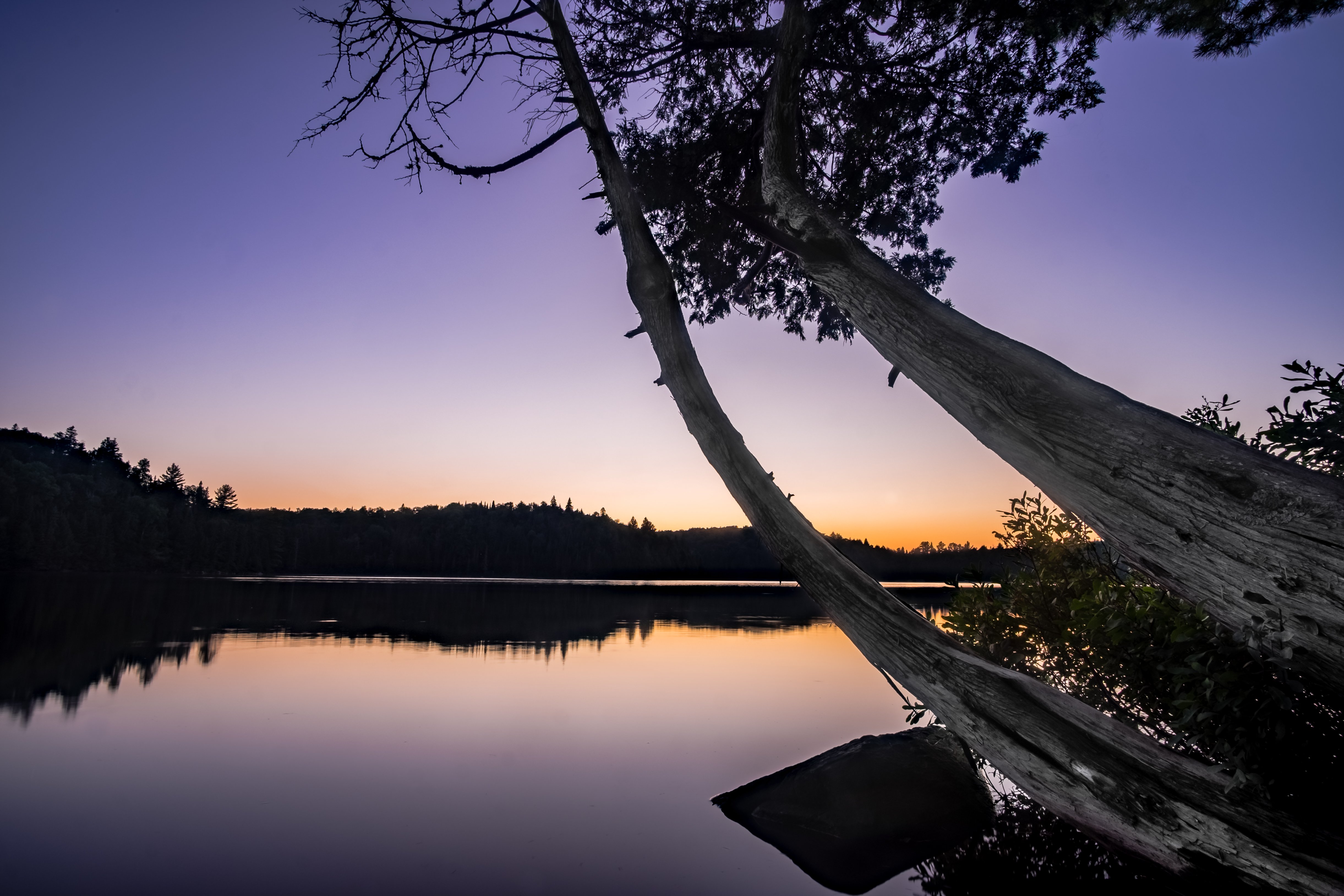 DSCF3587-HDR.jpg